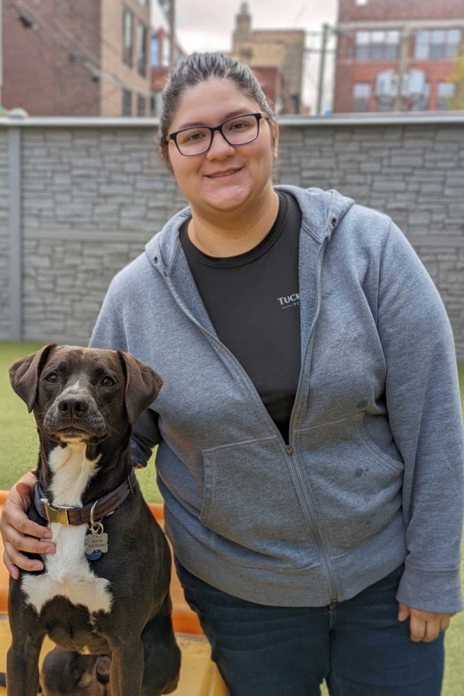 Detail about Ames  Tucker Pup's Pet Resort