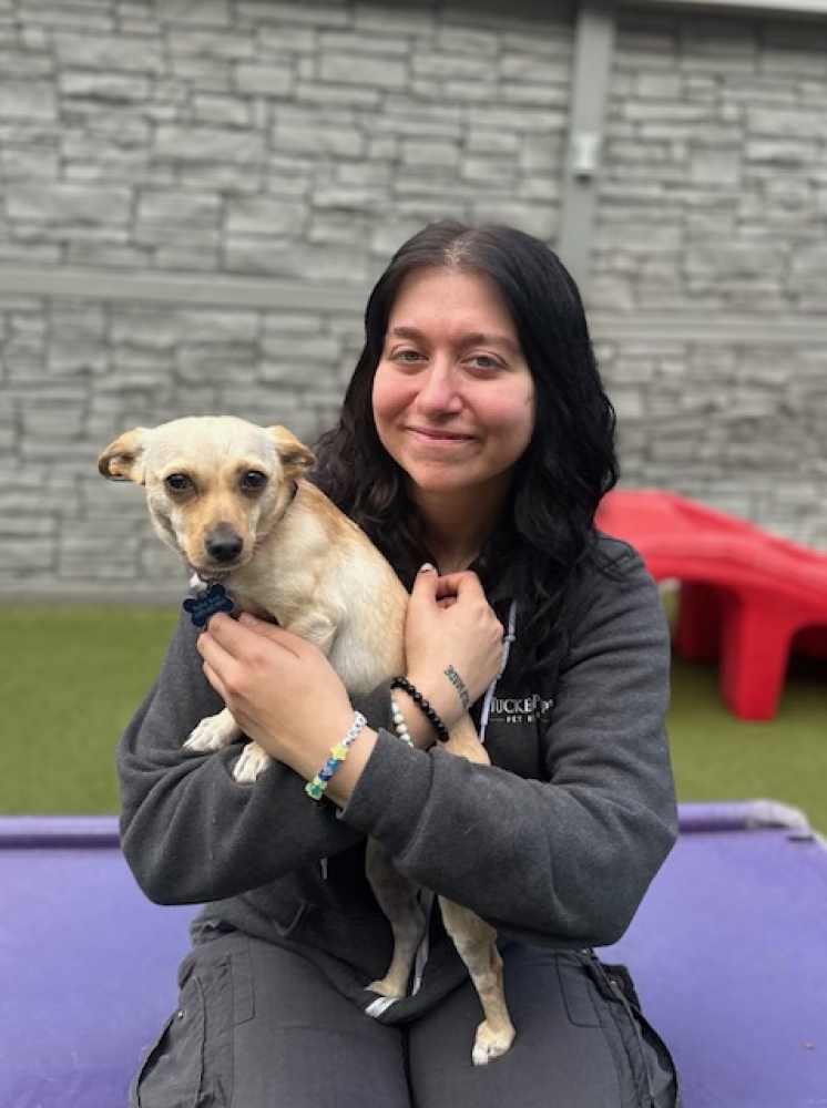 Athena,  at Tucker Pup's