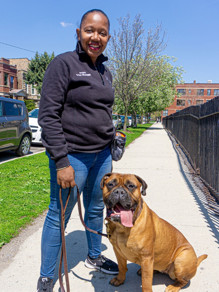 Dog Walkers in Chicago  Tucker Pup's Pet Resort