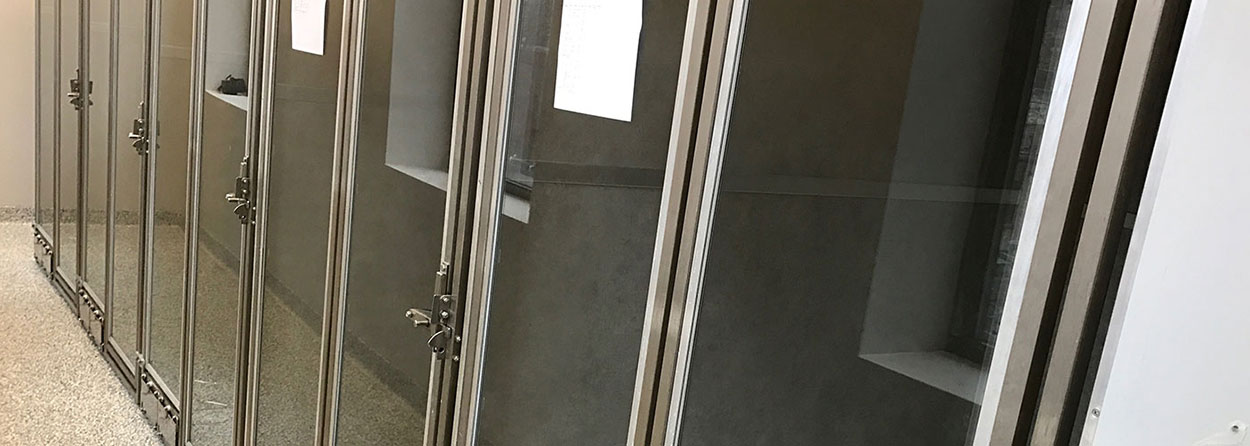 Dog Boarding Chicago Glass Boarding Kennels
