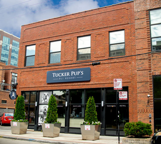 Upscale dog boarding in the West Loop / Fulton Market District in Chicago