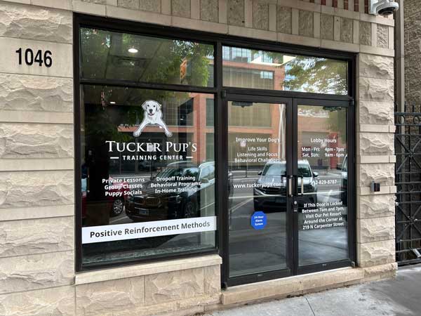 https://tuckerpups.com/common/images/facility/fulton-market-west-loop-dog-training.jpg