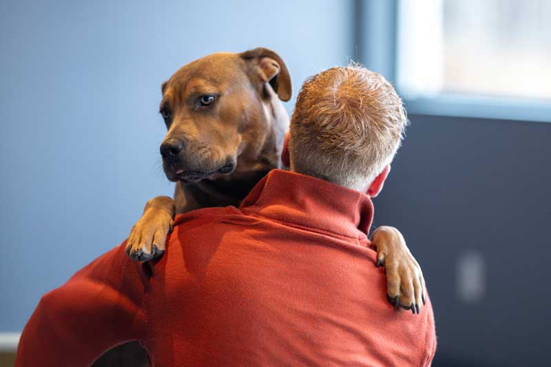 Anxious Dog Being Held by Owner