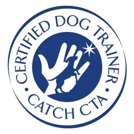 Catch Academy Logo