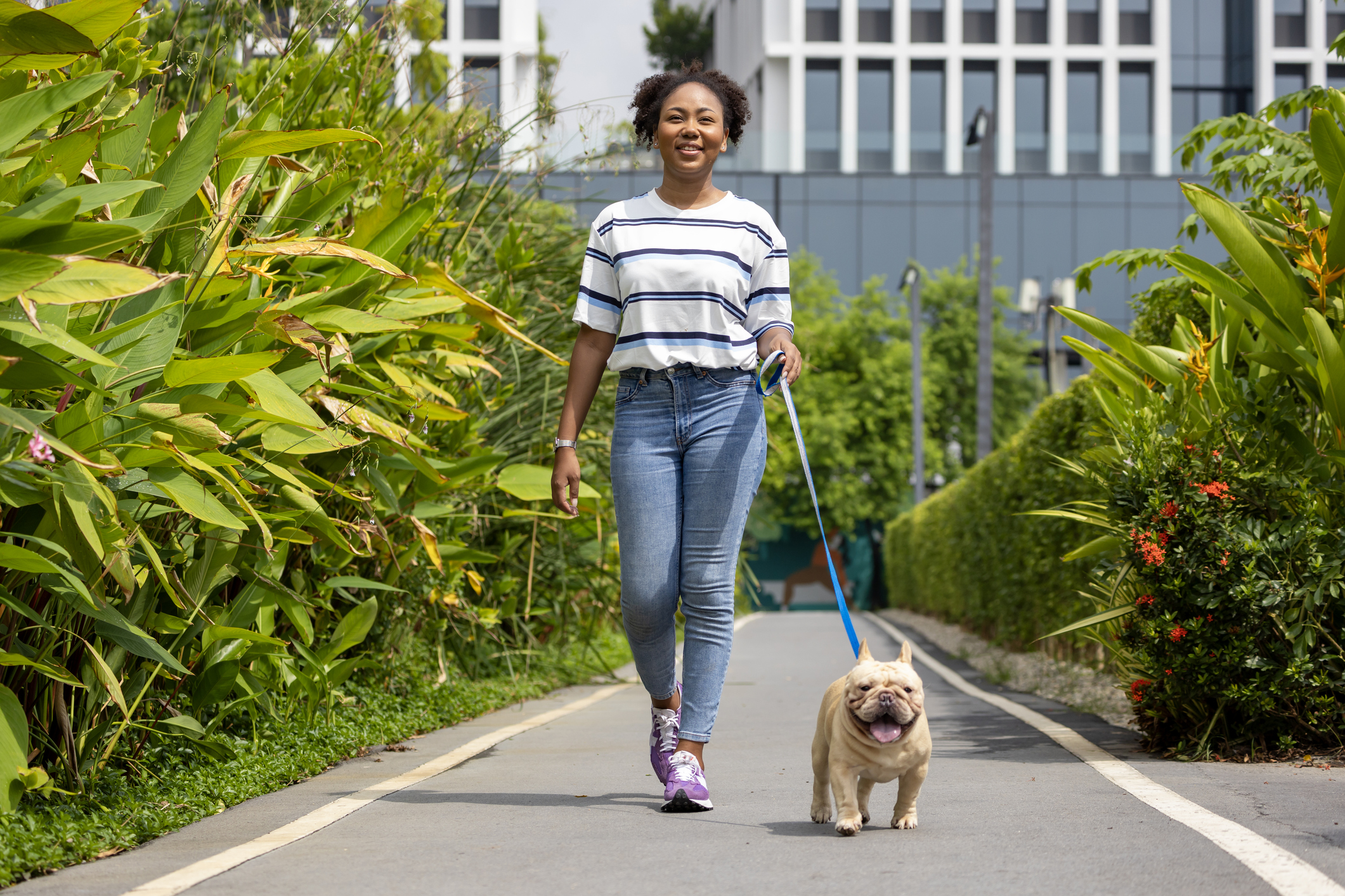 Calm Dog After Leash Reactivity Training