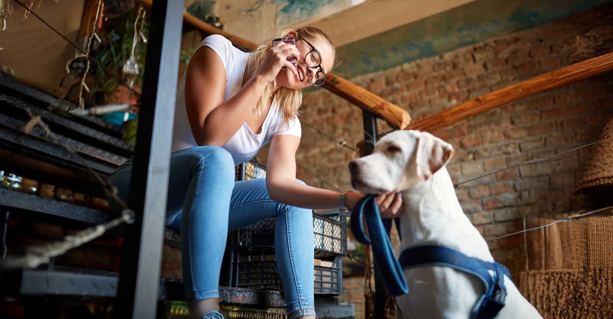 Book Training Phone Consultation | Tucker Pup's Pet Resort