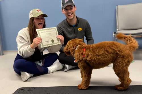 Train My Dog for Me Chicago