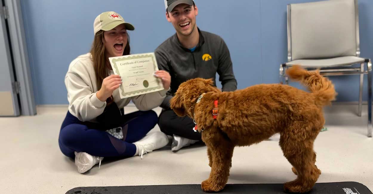 Train My Dog for Me in Chicago