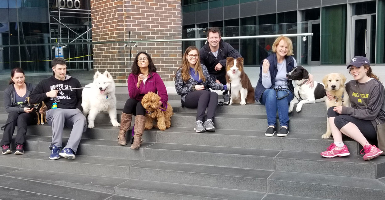 Puppy Socials in Chicago