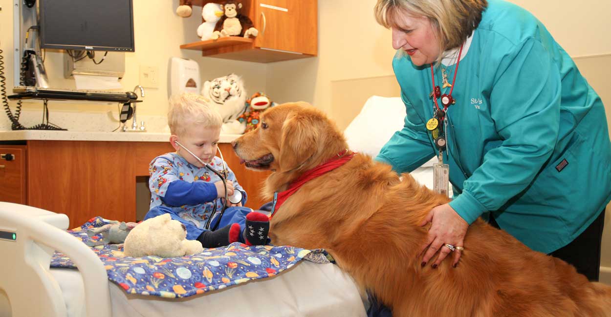 Therapy Dog Training In Chicago Tucker Pup S Pet Resort