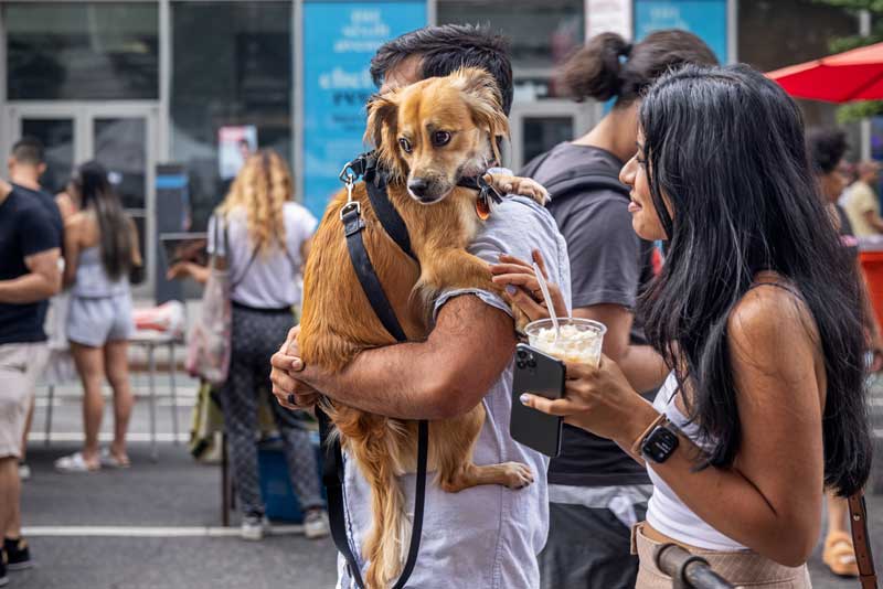 Holding Anxious Dog in Crowd of People
