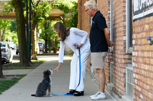 Dog Training Private Lessons Chicago