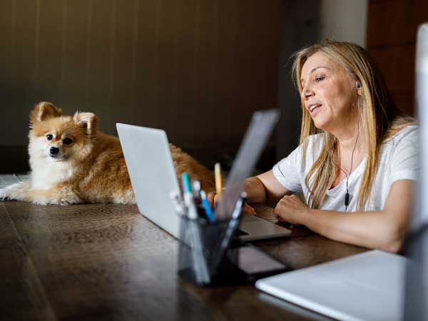 Dog Separation Anxiety Chicago Zoom Program