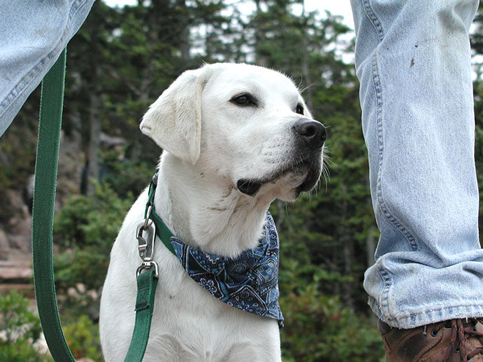 Tucker Contemplating