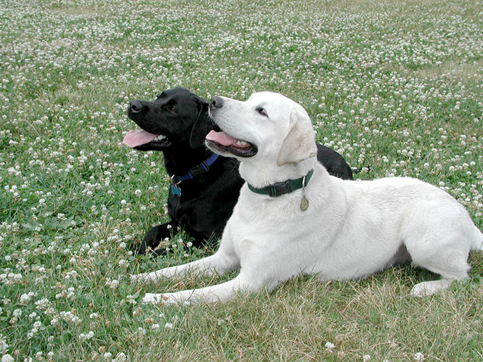 Tucker and his Cousin