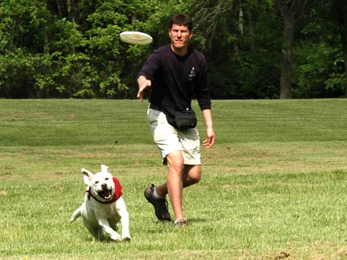 Tucker Chasing a Frisbee