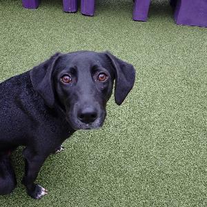 Testimonial from a happy customer