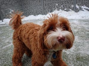 Testimonial from a Happy Customer