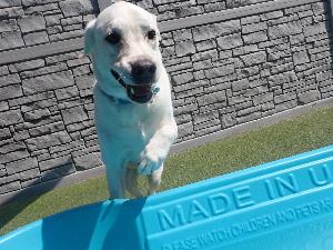 Happy customer for Tricks Class Class in Chicago