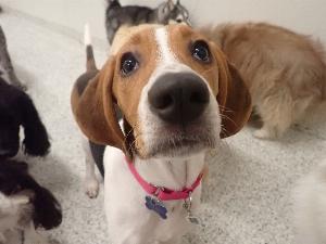 Testimonial from a Happy Customer