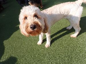 Testimonial from a Happy Customer