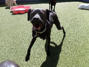 Testimonial from a Happy Customer