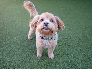 Testimonial from a Happy Customer