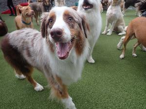 Testimonial from a Happy Customer